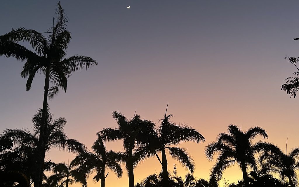 sunset Maui