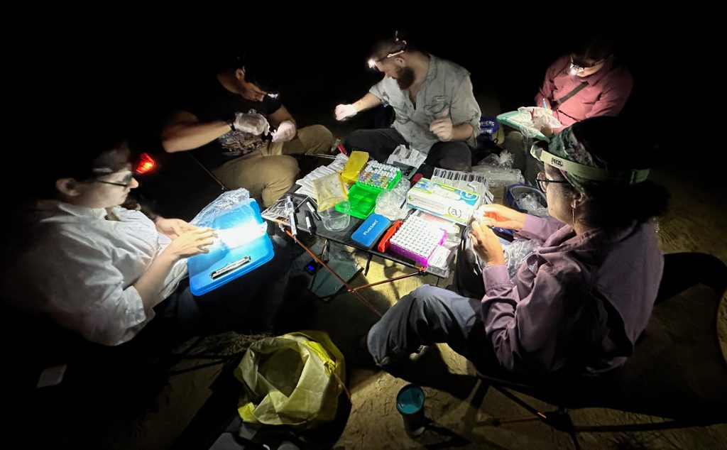 group of researchers working at night